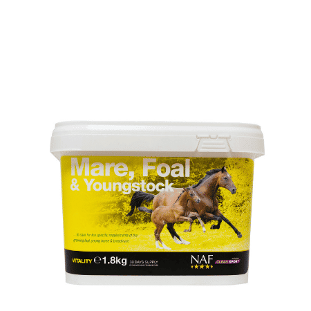 NAF Mare Foal & Youngstock