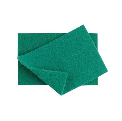Scouring Pad Catering Large Green x 10