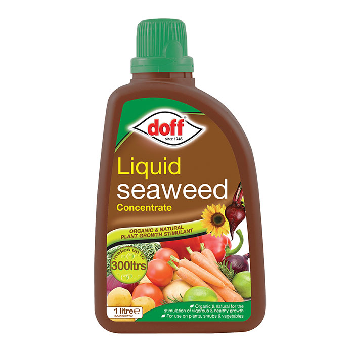 Doff Liquid Seaweed